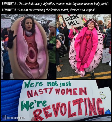 Image result for feminists are nasty